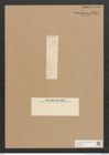 Diatomeae indet. Zeichnungen Sammlung Grunow Nr. 2592 (NHMW-BOT-W0369783)